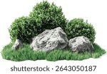 Green shrub plants vector design with rock, lush green grass, gardening position, cut out file, nature garden, outdoor greenery, landscaping, fresh foliage, plant arrangement