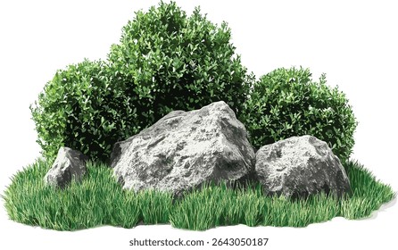 Green shrub plants vector design with rock, lush green grass, gardening position, cut out file, nature garden, outdoor greenery, landscaping, fresh foliage, plant arrangement
