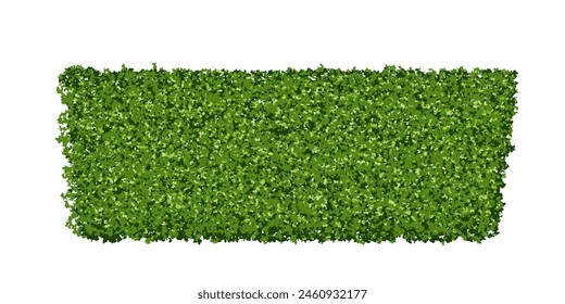 Arbusto verde o topiario en forma de trapezoide. Valla vegetal, seto con textura de hoja. Ilustración vectorial aislada del fondo. Valla de madera de pino verde.