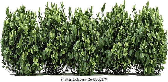 Green shrubs landscape row cutout gardening plants, nature background, fresh greenery, eco friendly design, garden decoration, botanical, outdoor scene, plant row