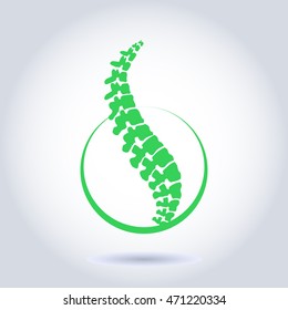 Green silhouette of human spine isolated on a white background. Vector illustration. symbol of diagnostic. Vector. Logo element