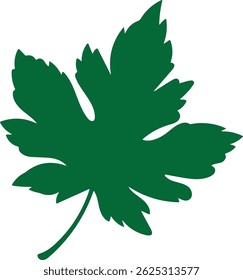 Green Silhouette of a Maple Leaf – Nature Icon Isolated on White Background