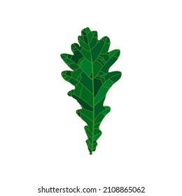Grünes Silhouettenblattpaar, einzeln auf weißem Hintergrund. Design-Element für die Dekoration.