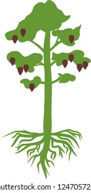 Green silhouette of pine tree with root system and cones