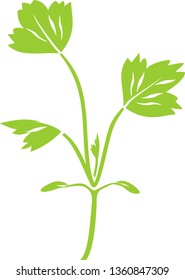 Green silhouette of seedling of raspberry isolated on white background
