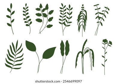 Green silhouette twigs with leaves botanical collection.Vector illustration 