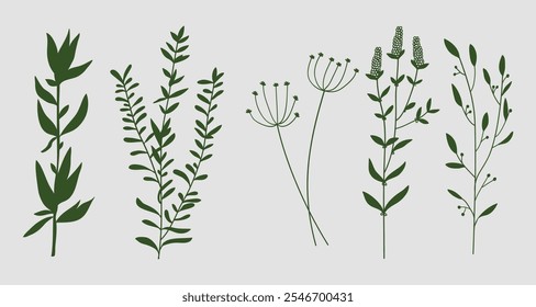 Green silhouette twigs with leaves botanical collection.Vector illustration 