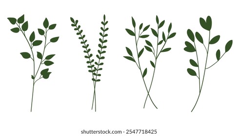 Green silhouette twigs with leaves botanical collection.Vector illustration 