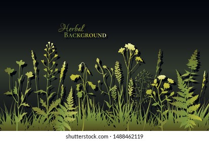 Green silhouettes of meadow wild herbs and flowers on dark background. Wildflowers. Floral background. Wild grass. Vector illustration.