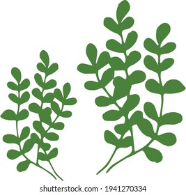 Green silhouettes of medical herbs. Sim`ple vector illustration in modern minimalist style. Good for logo design, packaging design.