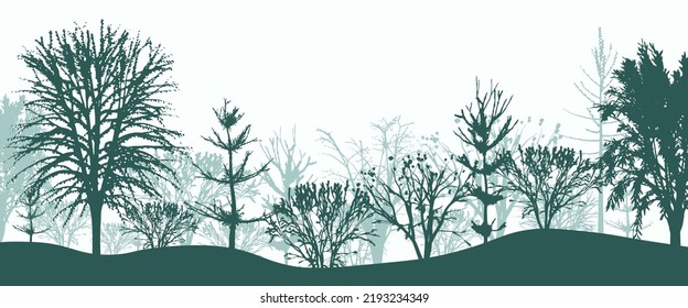 Siluetas verdes de árboles en el fondo del bosque. Místico matorral matutino de abeto y colmenas con arbustos en niebla clara. El paisaje misterioso en el diseño de vectores naturales