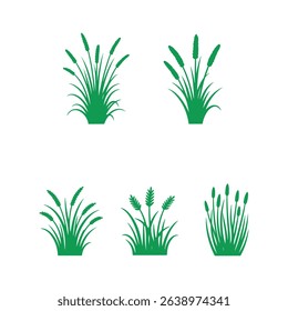 Green silhouettes of various grasses and reeds isolated on a white background for design