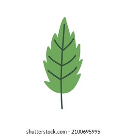 Green simple plain leaf  hand drawn naive art