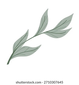 Rama única verde aislada sobre fondo blanco. Ilustración dibujada a mano de Vector para pegatina, patrón, decoración botánica, impresión y diseño estacional