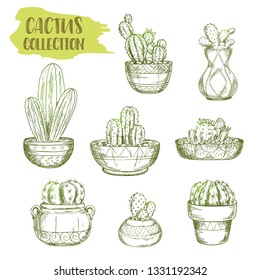 Green sketches of mexican cactus plant in pot