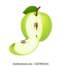 Green sliced apple isolated on white background. Vector illustration.