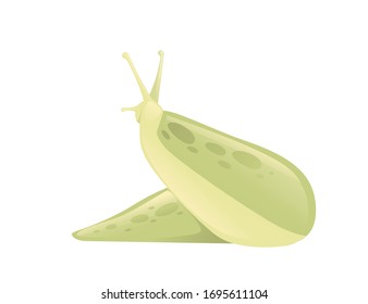 Green slug cartoon animal design flat vector illustration isolated on white background