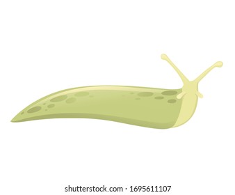 Green Slug Cartoon Animal Design Flat Vector Illustration Isolated On White Background