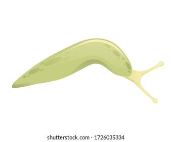 Green slug cartoon animal design flat vector illustration isolated on white background