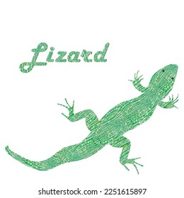 Green small lizard. Illustration in realistic style isolated on white background