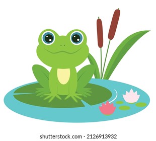 Green smiling frog sits. Cartoon style. Vector illustration