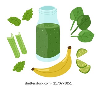 Green smoothie made of spinach, bananas, lime, celery, mint. Bright colorful summer set of ingredients. Vector illustration of healthy refreshing drinks.