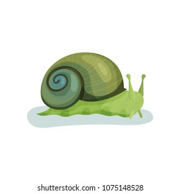 Green snail gastropod mollusk with green shell vector Illustration on a white background