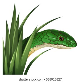 Serpiente verde detrás de la ilustración de la hierba