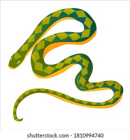 green snake, cobra or viper drawn in cartoon style. Vector illustration isolated on white background