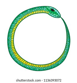 A green snake curled in a ring bites its tail.