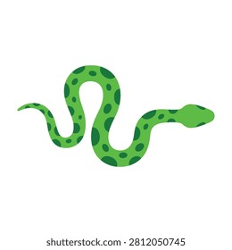 A green snake with dark spots curled up on a white background, showcasing its slithery body and vibrant coloration, ideal for wildlife and reptile enthusiasts.