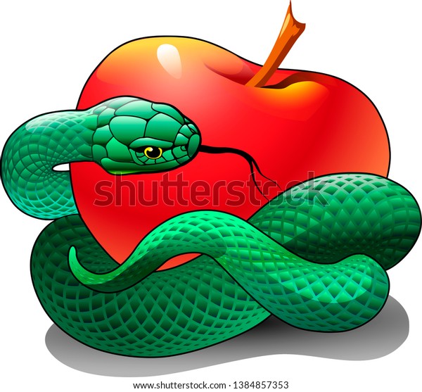 Green Snake Entwined Around Red Apple Stock Vector (Royalty Free