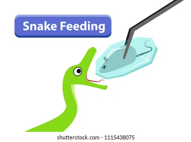 Snake Feeding Chart App