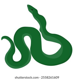 green snake is a great reptile for green snake is a great reptile for design, a royal python in rich color or a symbol of the New Year 2025 vector illustration