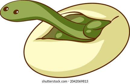 Green snake hatching from an egg illustration