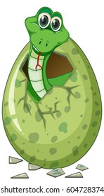 Ilustración de huevo de incubación de serpiente verde