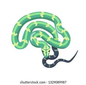 Green snake isolated on white background. Tropical legless reptile, venomous predator, wild carnivorous animal. Boa or python. Desert or jungle fauna. Vector illustration in flat cartoon style.