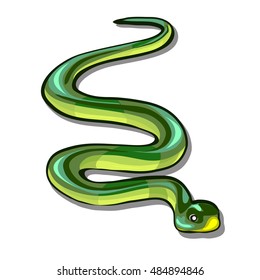 Green snake isolated on a white background. Vector illustration.
