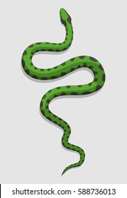 Green snake logo