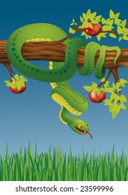 Green snake on the apple tree branch, coming down to the grass; Drawing on the biblical theme; vector illustration