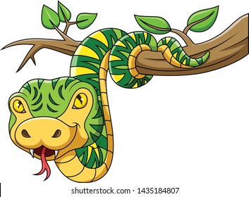 green snake on the tree