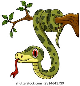 Green snake on tree branch on white background