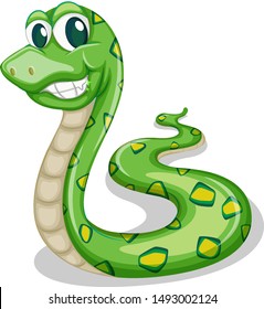 Green snake on white background illustration