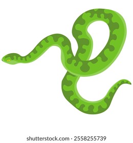 green snake is a stylish reptile for design, a royal python in an unknown color or a symbol of the New Year 2025 vector illustration