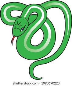 green snake vector illustration isolated on white background.Animals top view