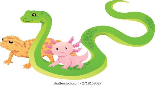 Cobra verde, lagarto amarelo e axolote rosa, animais exóticos de terrário. Animal de estimação. Fauna, biologia, zoologia. Para projetos infantis e educacionais. Ilustração vetorial. Estilo plano. Plano de fundo isolado.