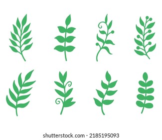 Green solid field leaves. Botanical elements. Nature vector illustration. Isolated on white background.