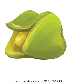 Green Soursop Ikone Cartoon Vektor. Graviola annona. Saftblatt