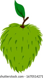 Green soursop with leaf, illustration, vector on white background.