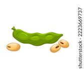 green soya bean cartoon. soy vegetable, pod, healthy food, vegetarian, edamame soybean, protein green soya bean vector illustration